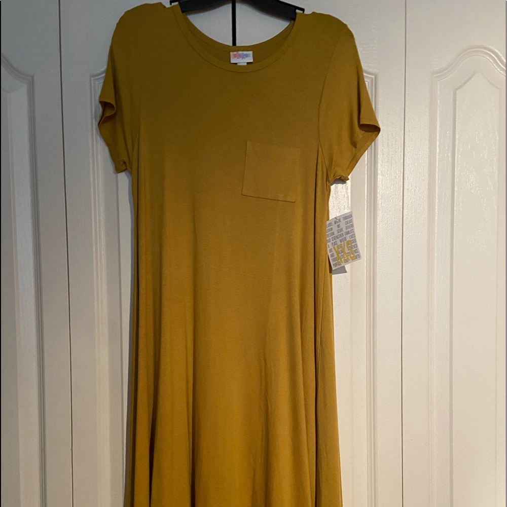 Carly dress brand new